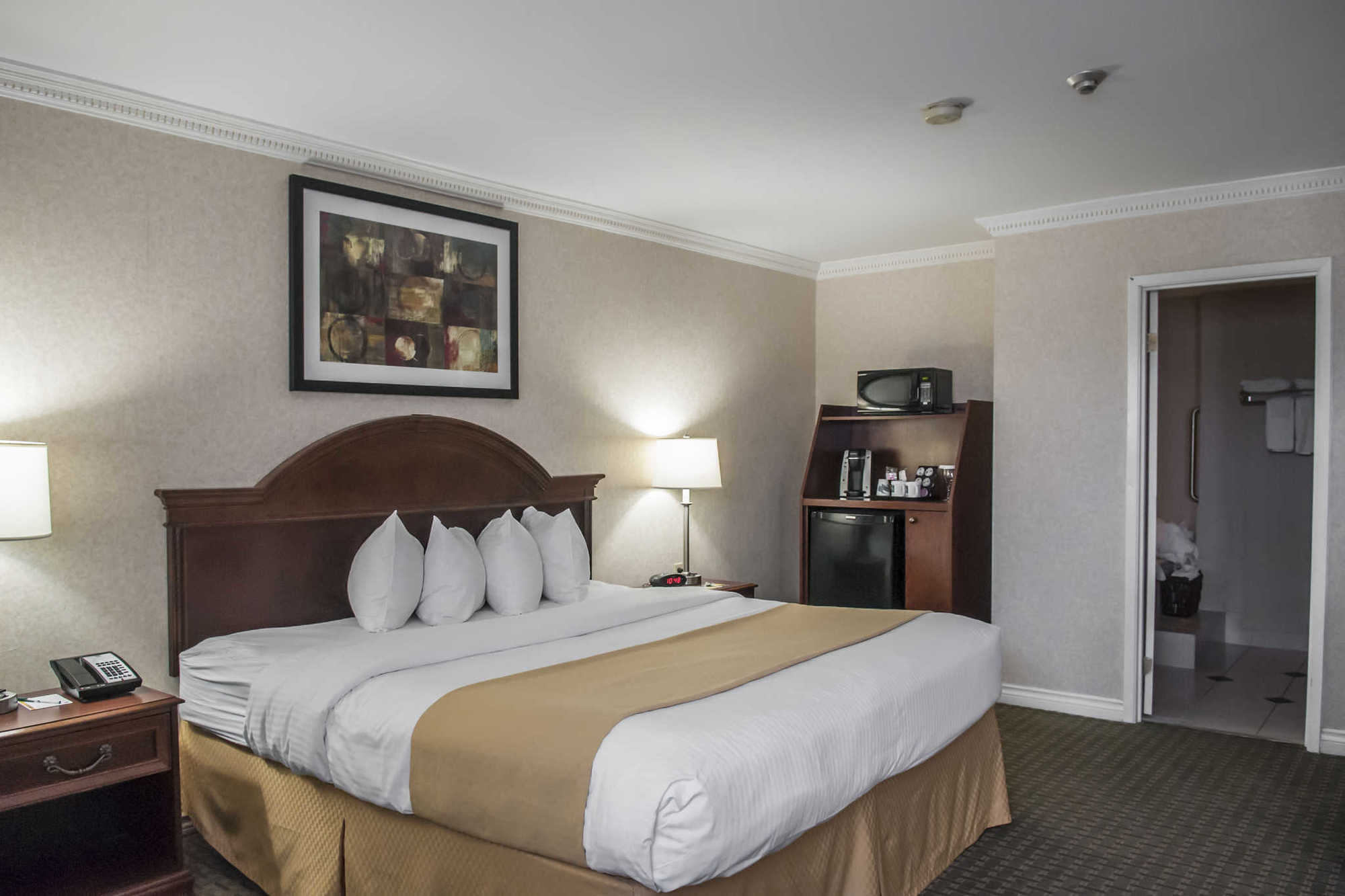 Quality Inn Airport West Місісаґа Номер фото